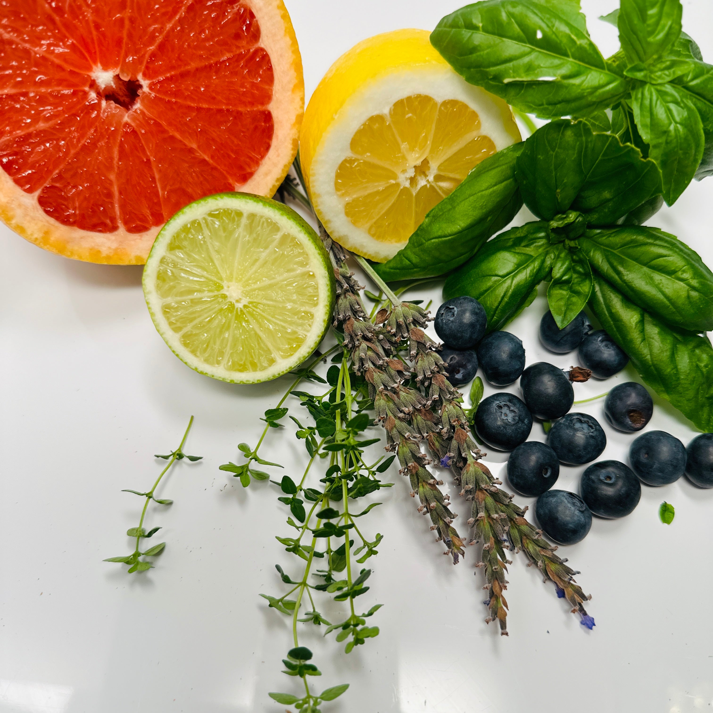 Mocktail Infusion Kit – Sugar Free Non-Alcoholic Cocktail Tea Bags