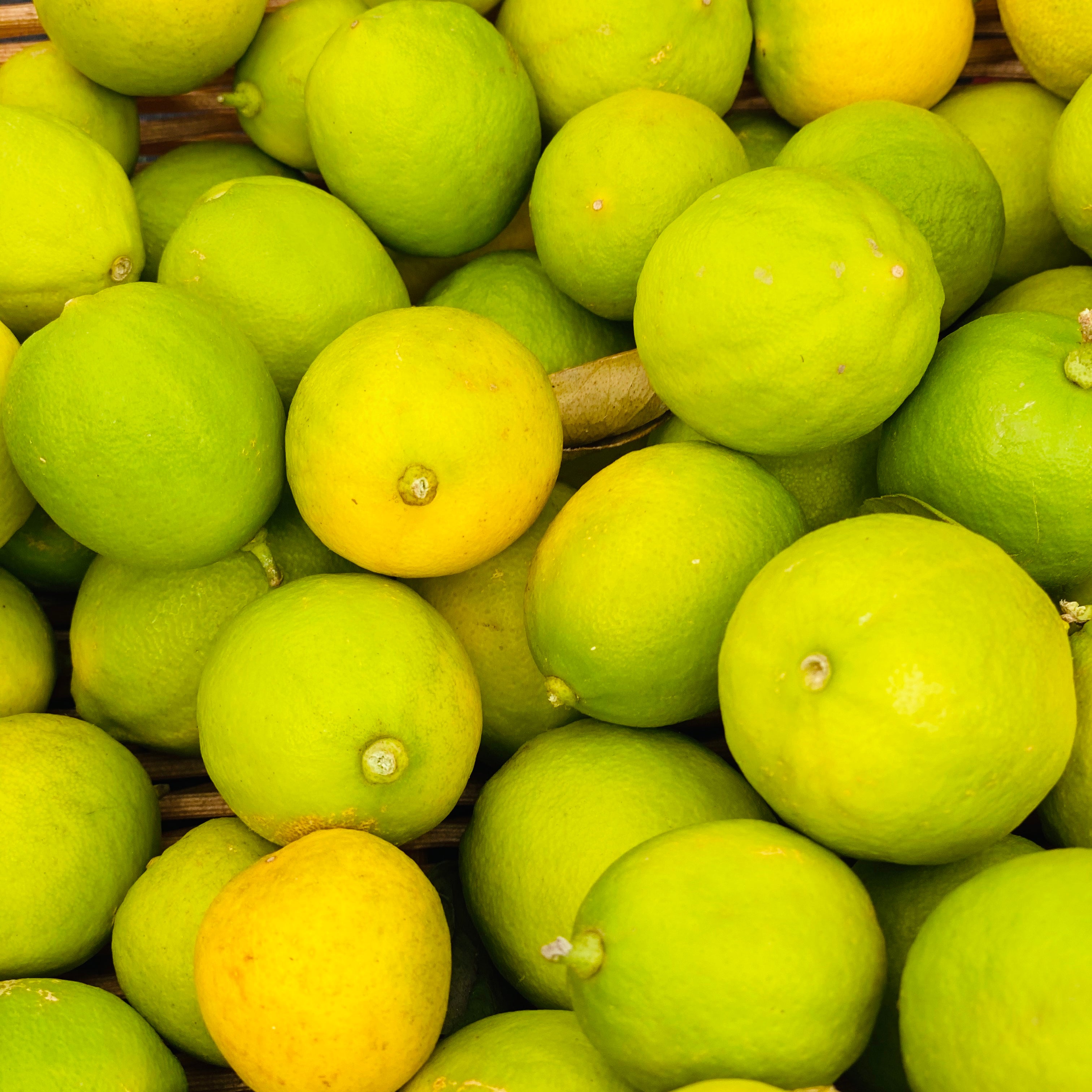 Lime Citrus Garnish - Hail M