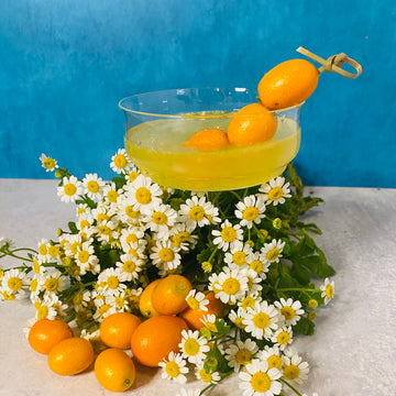 5 Refreshing Citrus Cocktails to Try this Season Featuring Limes, Lemons, Blood Oranges, and Kumquats from Your Local Farmer’s Market