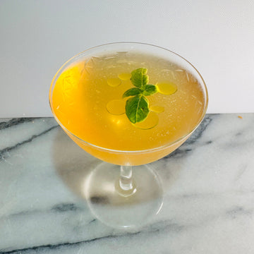 Martini infused with lemon and basil