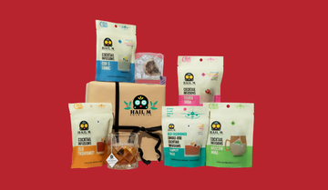 Holiday Gift Guide & Sale