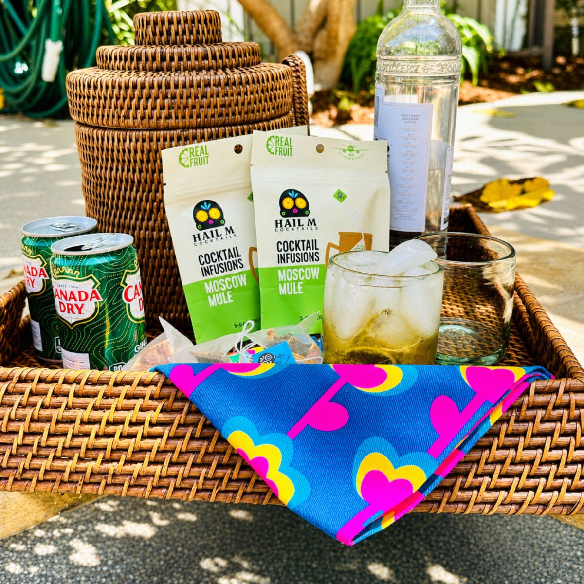 Moscow Mule Infusion Poolside Cocktail Kit - 2 Pack - Sugar Free